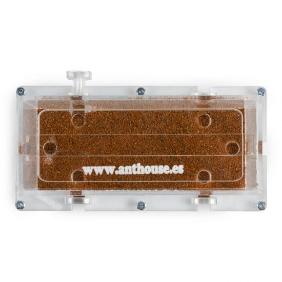 10x20x7cm Scatola di foraggiamento Modulare Fungo