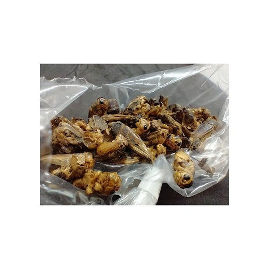 25 gr di grilli disidratati
