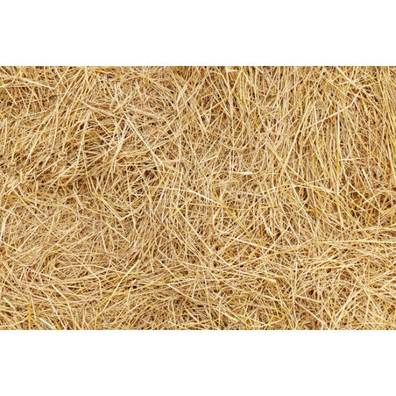 25g di Fieno