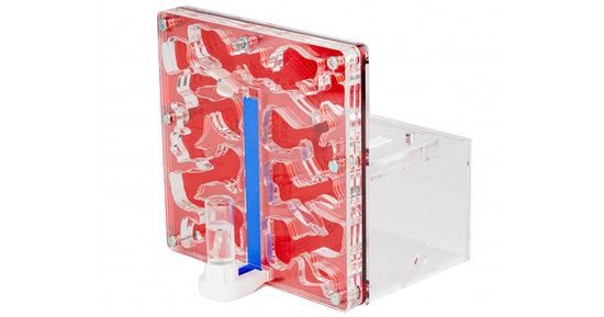 AntCubex Spugna 15x15x1,5cm Con Deposito