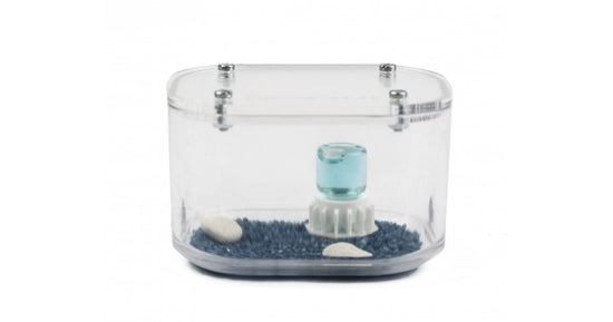 Antcubik-Scatola di Foraggiamento Mini