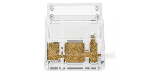 AntHouse 10x10x1,3 cm Con Scatola Grande - Sughero