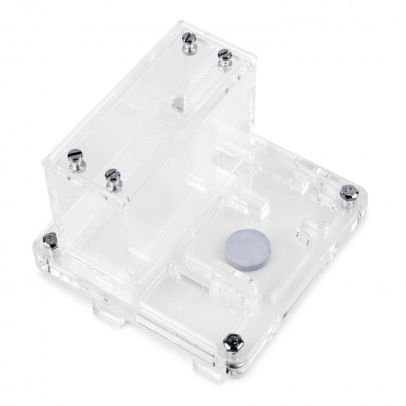 AntHouse 10x10x1,3 cm con scatola grande - Tipo di fungo