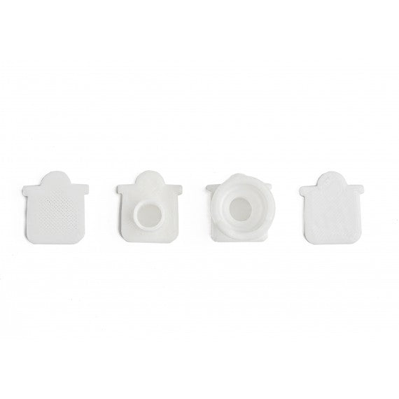 AntHouse 10x10x1,3 cm con scatola grande - Tipo di fungo