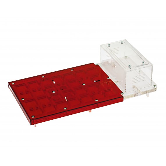 AntHouse-Acri 40x20x1,5 (Tipo Fungo, Con Area di Foraggiamento)