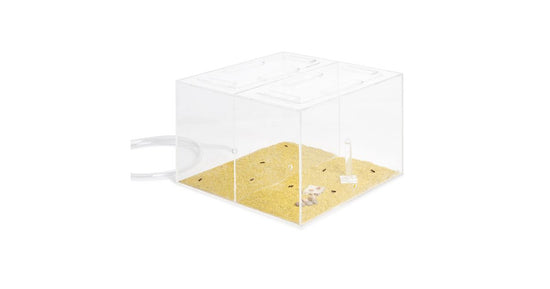 Anthouse Bigmax 30x30x15cms