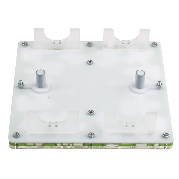 AntHouse-Hori-Acri 20x20x1,5 (Tipo Fungo, Con Area di Foraggiamento)