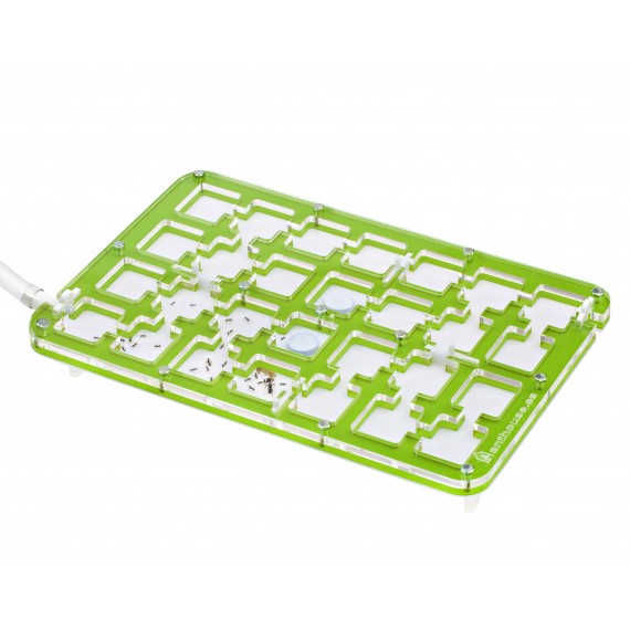 AntHouse-Hori-Acri 30x20x1,5 (Tipo Fungo)