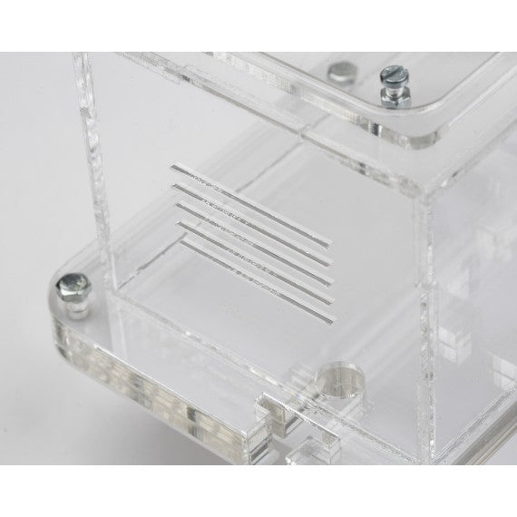 AntHouse-Hori-Acri 30x20x1,5 (Tipo Fungo, Con Area di Foraggiamento)