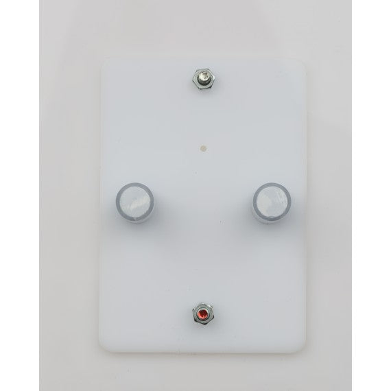 AntHouse-Hori-Acri 30x20x1,5 (Tipo Fungo, Con Area di Foraggiamento)