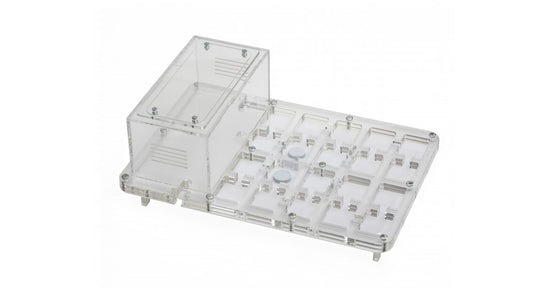 AntHouse-Hori-Acri 30x20x1,5 (Tipo Fungo, Con Area di Foraggiamento)