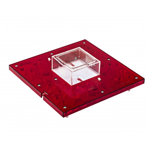 AntHouse-Hori-Acri 30x30x1,5 (Tipo Fungo, Con Area di Foraggiamento)