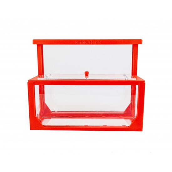 Kit AntHouse 3D -L- Formicaio di Sabbia con Regina e Formiche GRATUITE