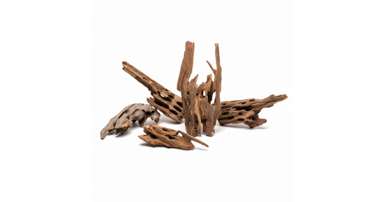 Madera Seiryu Dragon