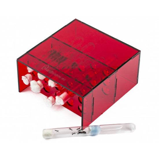 Rack - Contenitore per provettem