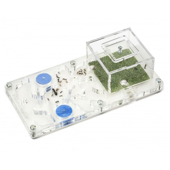 Schiuma acrilica NaturColor 20x10x1