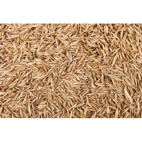 Semi da Prato 15g