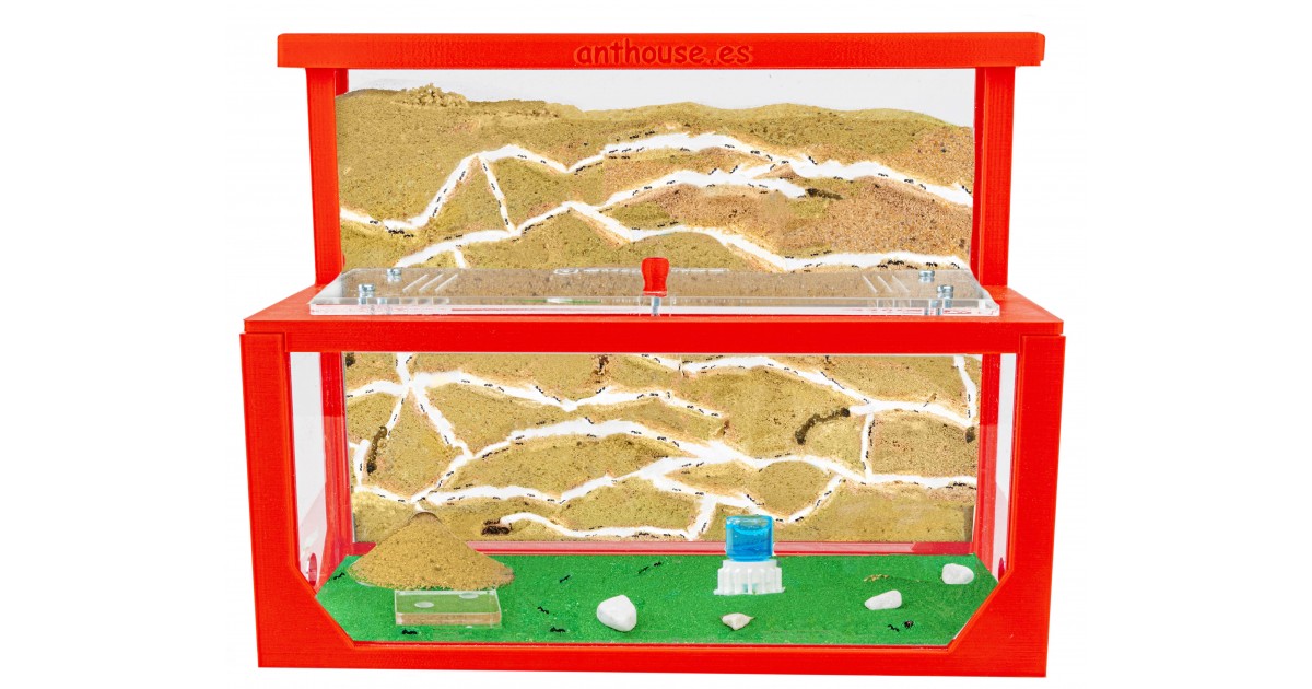 Formicaio Kit Formicaio 3D | LaCasadelleFormiche.it – La Casa delle Formiche