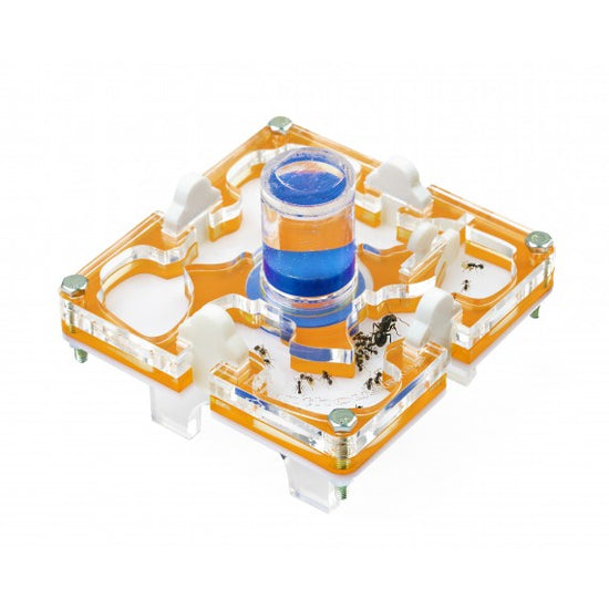 10x10x1,5 cm Contenitore Modulare di Colori