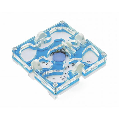 10x10x1,5 cm Modulare Fungo