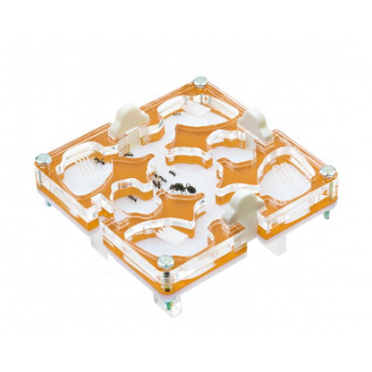 10x10x1,5 cm Modulare Senza Sistema Umidità