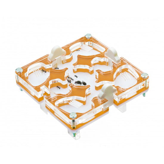 10x10x1,5 cm Modulare Senza Sistema Umidità