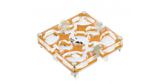 10x10x1,5 cm Modulare Senza Sistema Umidità