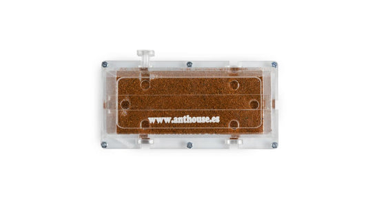 10x20x7cm Scatola di foraggiamento Modulare Fungo