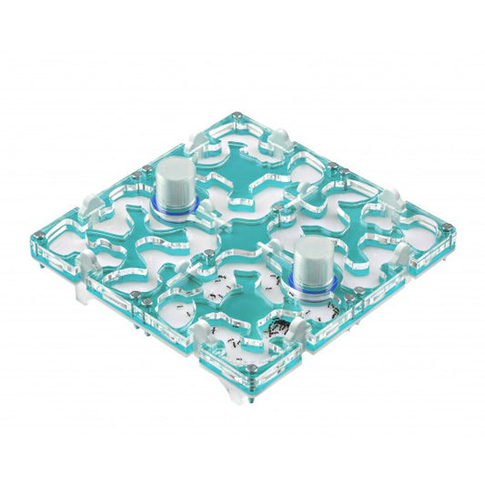 20x20x1,5 cm Contenitore Modulare di Colori