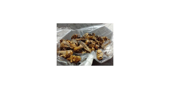 25 gr di grilli disidratati