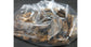 25 gr di grilli disidratati