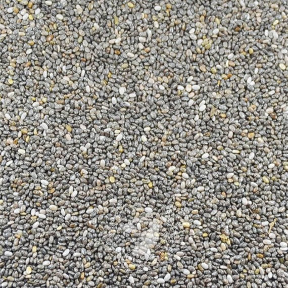 25 gr di semi di chia