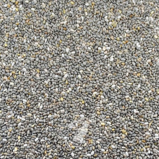 25 gr di semi di chia