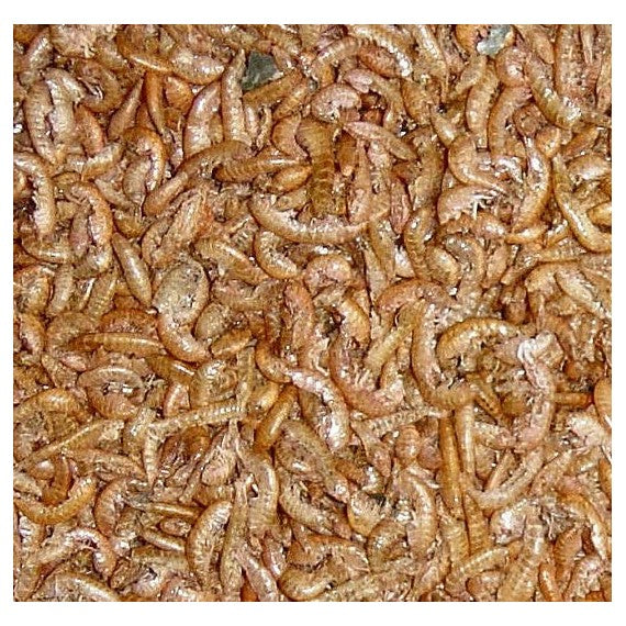 25 gr Gammarus disidratato