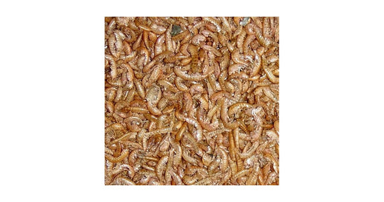 25 gr Gammarus disidratato