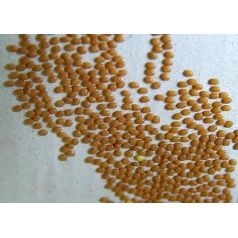 Acrilico NaturColor 10x20x1,5 cm Schiuma con intonaco