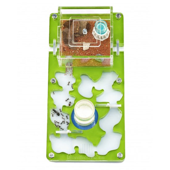 Acrilico NaturColor 10x20x1,5 cm Schiuma con intonaco