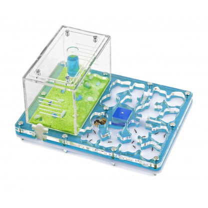 Acrilico NaturColor 20x15x1,5 cm Schiuma con intonaco