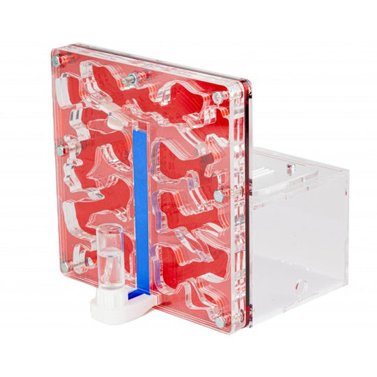 AntCubex Spugna 15x15x1,5cm Con Deposito