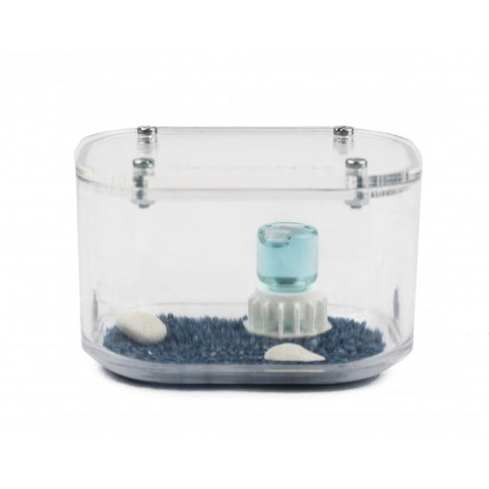 Antcubik-Scatola di Foraggiamento Mini