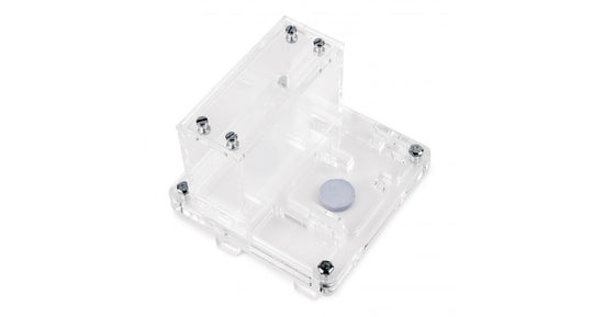 AntHouse 10x10x1,3 cm con scatola grande - Tipo di fungo