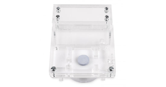 AntHouse 10x10x1,3 cm con scatola grande - Tipo di fungo