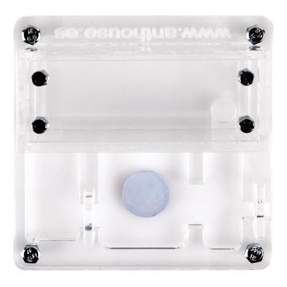 AntHouse 10x10x1,3 cm con scatola grande - Tipo di fungo