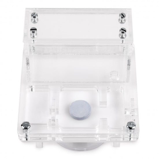 AntHouse 10x10x1,3 cm con scatola grande - Tipo di fungo