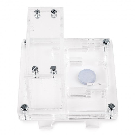 AntHouse 10x10x1,3 cm con scatola grande - Tipo di fungo