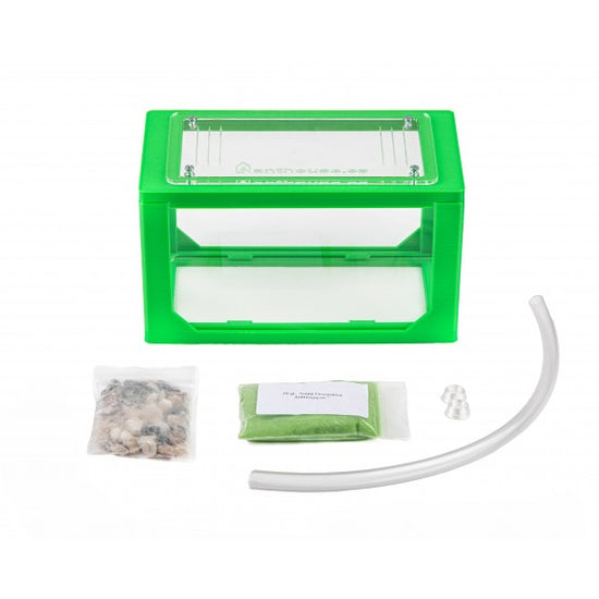 Anthouse 3D Box 20x10x10 cms