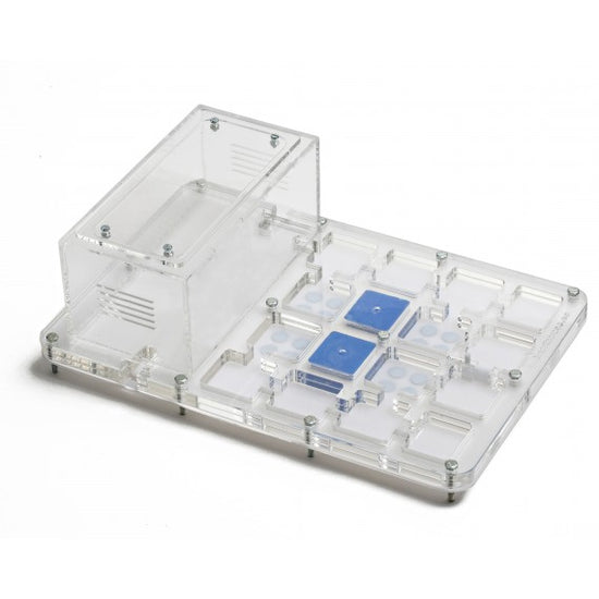 AntHouse-Acri 30x20x1,5 (Con Area di Foraggiamento e Strato di Gesso)