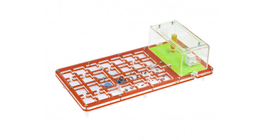 AntHouse-Acri 40x20x1,5 (Tipo Fungo, Con Area di Foraggiamento)