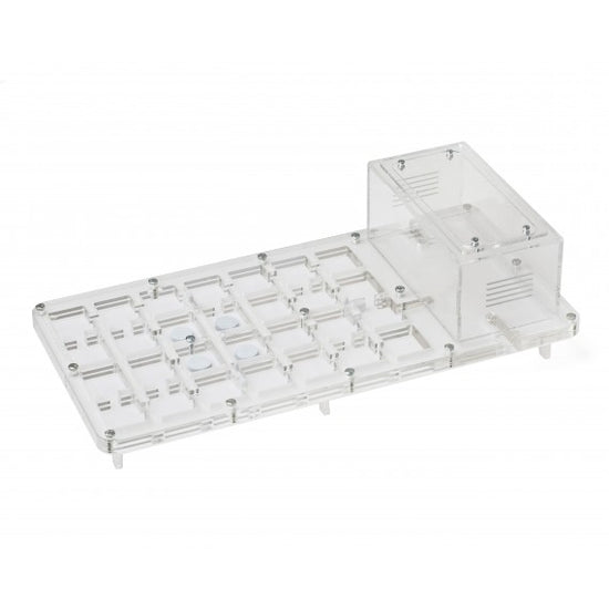 AntHouse-Acri 40x20x1,5 (Tipo Fungo, Con Area di Foraggiamento)