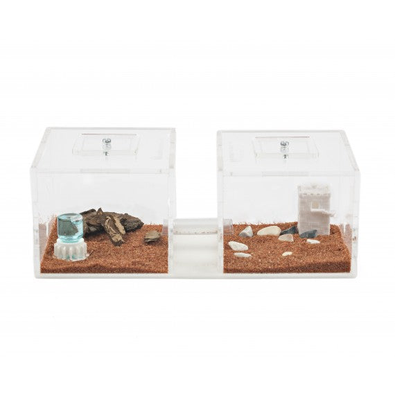 Anthouse Acri-Box-Hori